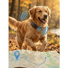 Gözcü Mobil Kedi Köpek Takip Cihazı Android Ios Uyumlu Pet Evcil Hayvan Tasması Sim Kartsız Akıllı Takip Cihazı