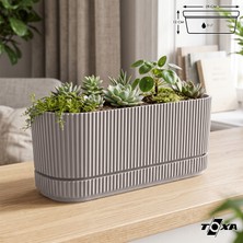 ToXA Pera Uzun Saksı No2 3 Litre Latte Bej 29CM Plastik Kaktüs Sukulent Çiçek Bitki Balkon Saksısı