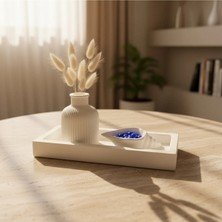 Canseb Elegance 3'lü Vazo & Deniz Kabuğu Set Premium Set