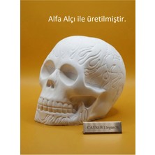 Canseb Elegance 10CM Alev Desenli Kuru Kafa Heykeli