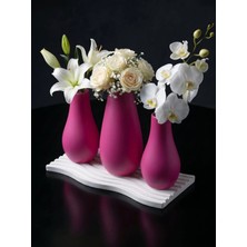 Canseb Elegance Elegance Serisi - Dörtlü Vazo Set - Renkli - Dekoratif Set - (Çiçekler Dahil Değildir)