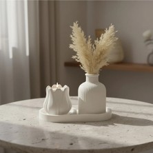 Canseb Elegance 3'lü Pampas Vazosu ve Mumluk Seti Premium Set