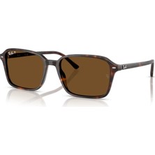 Ray-Ban 2231 902/57 56