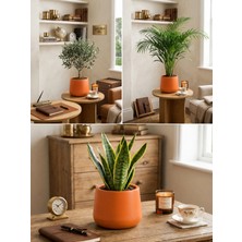 Kastasaksı 27X23 cm Plastik Turuncu Dekoratif Modern Saksı