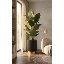 Kastasaksı 40X40 Luxury Siyah Gold Polyester Dekoratif Polyester Fiberglass Saksı