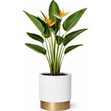 Kastasaksı 40X40 cm Luxury Beyaz Gold Fiber Saksı Iç ve Dış Mekan Uyumlu Saksı