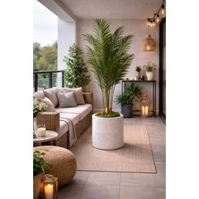 Kastasaksı 33X37 cm Beton Görünümlü Dekoratif Bohem Tarzı Modern Polyester Saksı