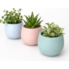 Kastasaksı Bitkisiz Dekoratif Pastel Mini Saksı Seti 3’lü Kaktüs Saksısı 8x7 cm