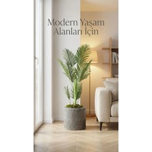 Kastasaksı 37X33 Polyester Beton Görünümlü Dekoratif Bohem Modern Fiber Saksı