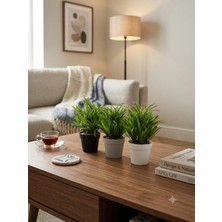 Kastasaksı 3lu Karışık Set 22X14 cm Yapay Bitkili Modern Dekoratif Saksı