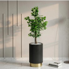 Kastasaksı Luxury Polyester Saksı Iç ve Dış Mekan UYUMLU.40X55