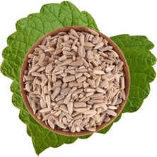 Ay Çekirdeği Içi Çiğ 500 G