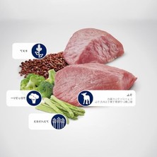 Aesco Quinoa Tahılsız Weight Management Yetişkin Mini