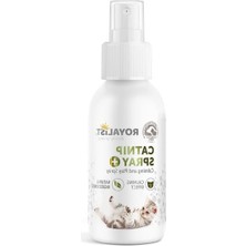 Aesco Kedi Sakinleştirici ve Oyun Spreyi, Catnip Spray