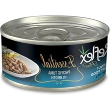 Aesco Pasifik Ton Balığı Konserve Kedi Maması, 70 Gr, Lezzetli