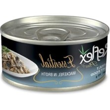 Aesco 70 gr Ton Balıklı Kedi Konserve Gıda