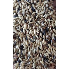 Aesco 1 kg Süper Karışık Kanarya Yemi, Besleyici ve Enerji Dolu