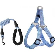 Aesco Ayarlanabilir Xl Boy Köpek Tasması, 1.2 cm Genişlikte