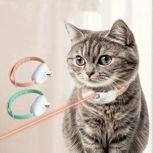 Aesco Eğitici Lazer Tasma Kedi Oyuncağı
