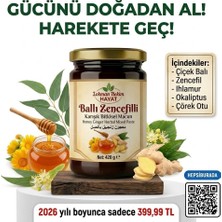 1 x 420 gr Ballı Zencefilli Karışık Bitkisel Macun - Çiçek Balı, Zencefil, Ihlamur ve Çörek Otlu Doğal Destek Lokman Hekim Hayat