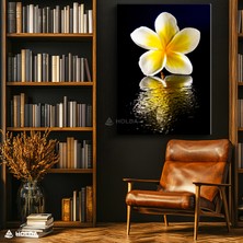 Holda Props Kanvas Tablo Plumeria Çiçeği Çiçek Tablosu Duvar Dekorasyonu