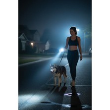 Tiny Kiwipets KPE-10906 3'ü 1 Arada Köpek Kovucu Hayvan Eğitim Cihazı | Ultrasonik Eğitim & Havlama Kontrolü & LED Işıklı