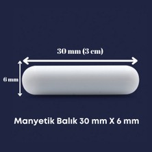 Mr. Crowley Manyetik Balık 30 mm x 6 mm Plastik Silindirik Laboratuvar 1 Adet Dayanıklı