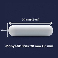 Mr. Crowley Manyetik Balık 20 mm x 6 mm Plastik Silindirik Laboratuvar 1 Adet Dayanıklı