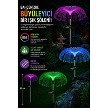 Coverzone Solar Bahçe Lambası 2 Adet, Ent 85 cm Rgb Renk Değiştiren Solar Çim Lambası, Fiber Optik Dekoratif Dış Mekan Aydınlatma, Otomatik Açma Kapama | S51