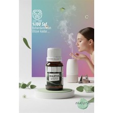 Modacar %100 Saf ve Yoğun Okaliptus Çiçeği Esansı -Ütü, Buhardanlık ve Koku Makineleri Için 10 ml