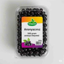 Aronya Meyvesi 500 gr