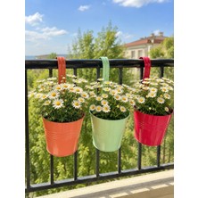 Naturel Metal Galvaniz Metal Askılı Balkon Bahçe Saksı Üçlü Set Karışık Renk