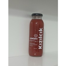Gümüşsu Kızılcık Meyve Suyu 250 ml (24 Adet)