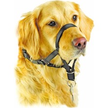 Pawise Köpek Kontrol Ağızlığı Max 20 cm No 1