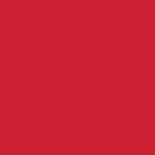 Aesco Nemlendirici ve Parlatıcı Dudak Bakım Yağı 40 Ml, Kırmızı
