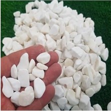 Aesco 10 kg Beyaz Dolomit Taş - Bahçe ve Akvaryum Için