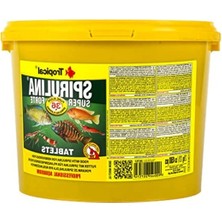 Aesco Süper Spirulina Forte Tablet Yem - 100 Adet, Balıklar Için