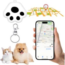 Aesco Mobil Uygulama ile Evcil Hayvan Takip Cihazı