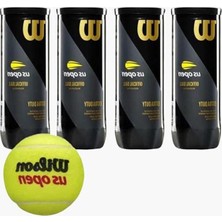 Aesco 4 Kutu Vakum Ambalajda Tenis Topu Seti, Yüksek Performans Için