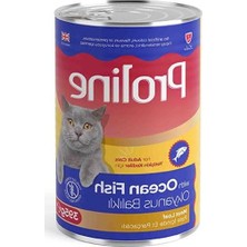 Aesco Okyanus Balıklı Yetişkin Kedi Konservesi 395G, Besleyici Pate
