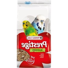 Aesco 1 kg 6 Adet Muhabbet Kuşu Yemi, Güncel Üretim