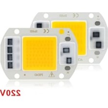 Aesco Gün Işığı LED Projektör, 220V, 50W Güç, Cob Teknolojisi