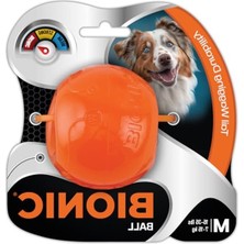 Aesco Orta Boy Köpek Çiğneme Oyuncağı, Zorlu Çiğneme Için Tasarlanmış