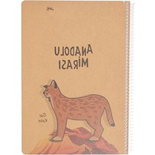 Aesco Çizgili A4 Spiralli Defter - 100 Yaprak (Asorti Renkler)