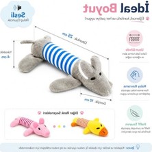 Aesco Yumuşak Dokulu Peluş Domuzcuk Kedi ve Köpek Oyuncağı