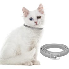 Aesco 38 cm Uzunluğunda Kedi Pire ve Bit Kovucu Tasma Boyunluk