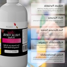Aesco Akrilik Su Bazlı Parlak Vernik 400 ml