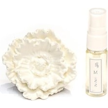Aesco Şakayık Taşlı Anti-Tobacco Araç Kokusu - 20 ml Esans