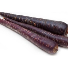 Aesco Havuç Mor (Çoklu Tohum) - 5 Gram