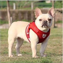 Aesco Floriashopping Köpekler ve Kediler Için Nefes Alabilen Reflektörlü Vücut Tasması Kırmızı M